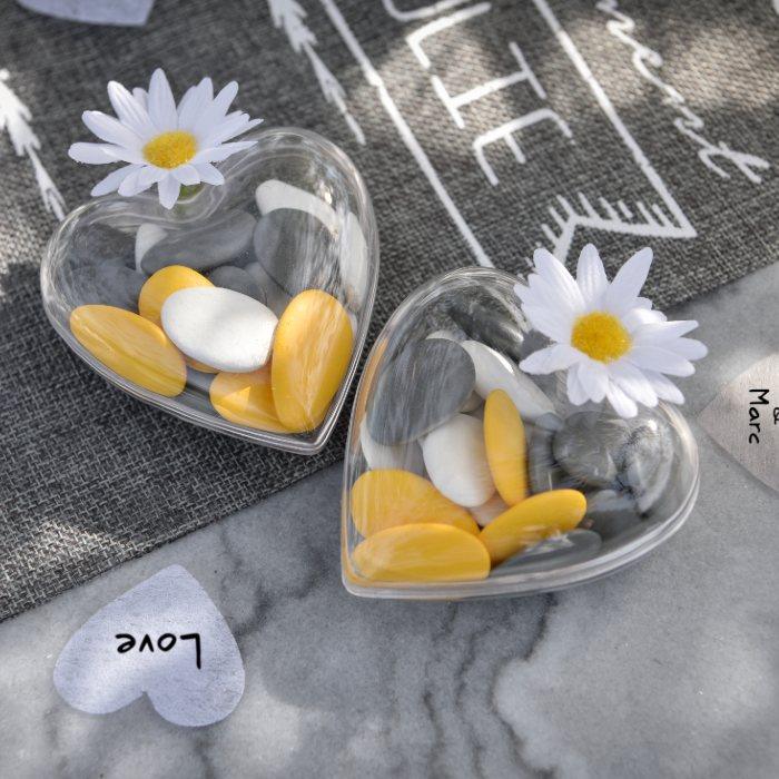 Cœur Transparent