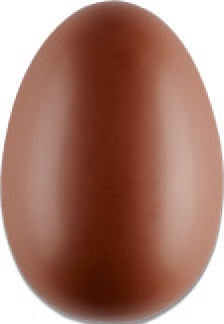 Œuf en chocolat lait ou noir 13 cm