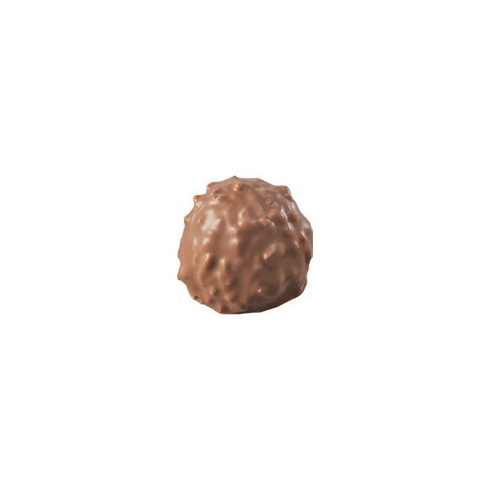 Rocher XXL chocolat lait praliné noisettes