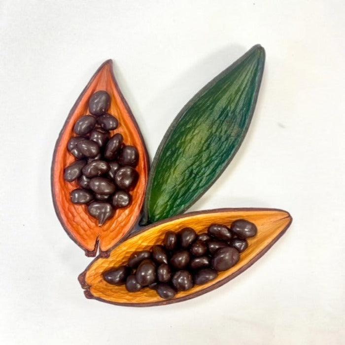 Bogue cacao