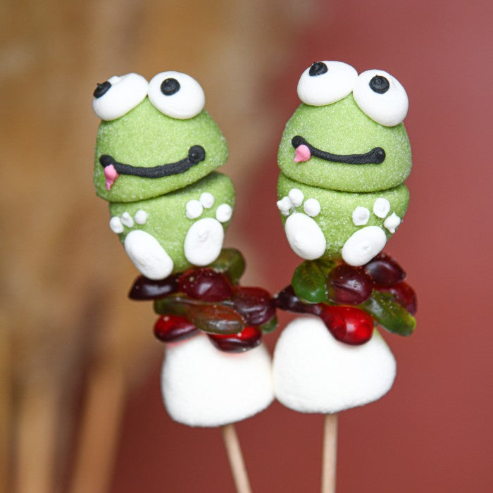 Brochettes de bonbons et guimauve