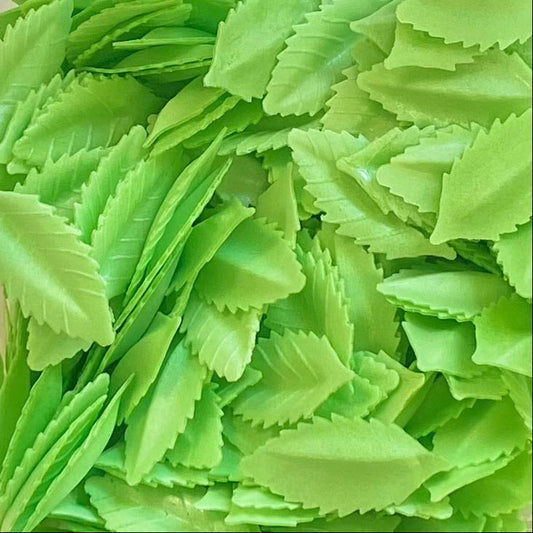 Petites feuilles vertes