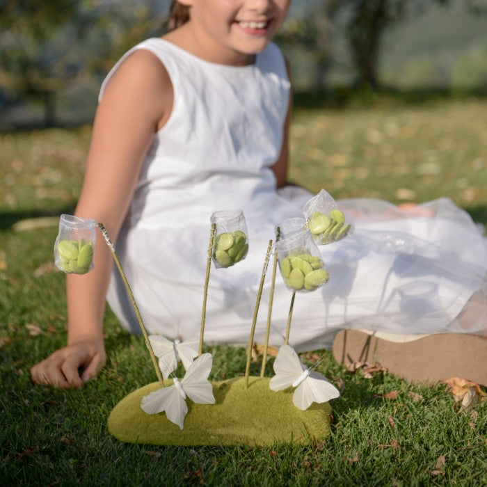 Lot de 12 filets papillon + support