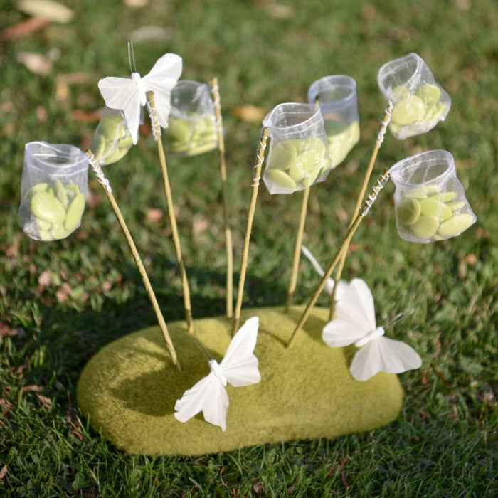 Lot de 12 filets papillon + support